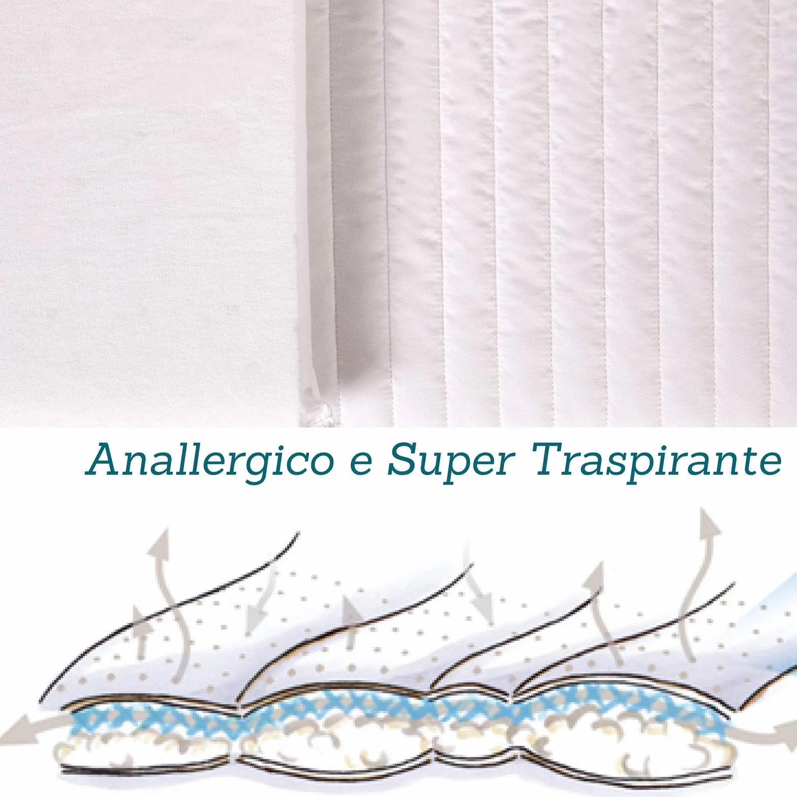 EVERGREENWEB Materasso Lettino o Culla 60x120 per Bambini alto 12 cm + Cuscino su misura GRATIS con Fodera in Cotone Naturale, Rivestimento Sfoderabile Bianco Anallergico Lavabile SYMBA