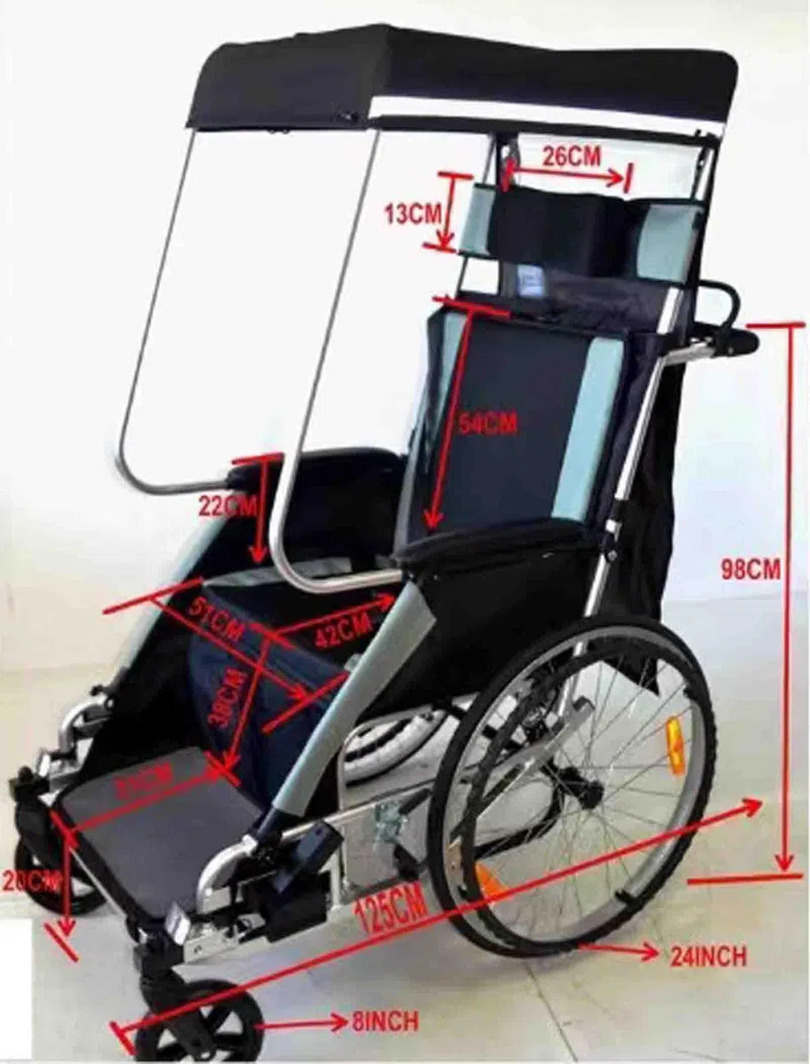 CAULO Rimorchio per Bicicletta Sedia a rotelle per Adulti Bicicletta Rimorchio Posteriore in Lega di Alluminio Assorbimento degli Urti Trattore Comodo Carrello Multifunzionale (Blue)