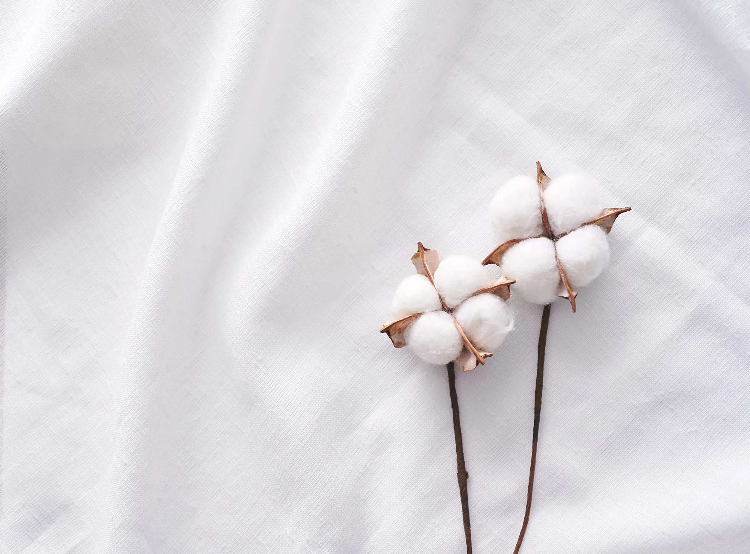 Organyc Bastoncini Cotton Fioc in Cotone Certificato 100% Biologico, Confezione Biodegradabile - 4 Pacchi da 200 Pezzi, Totale 800 Unità