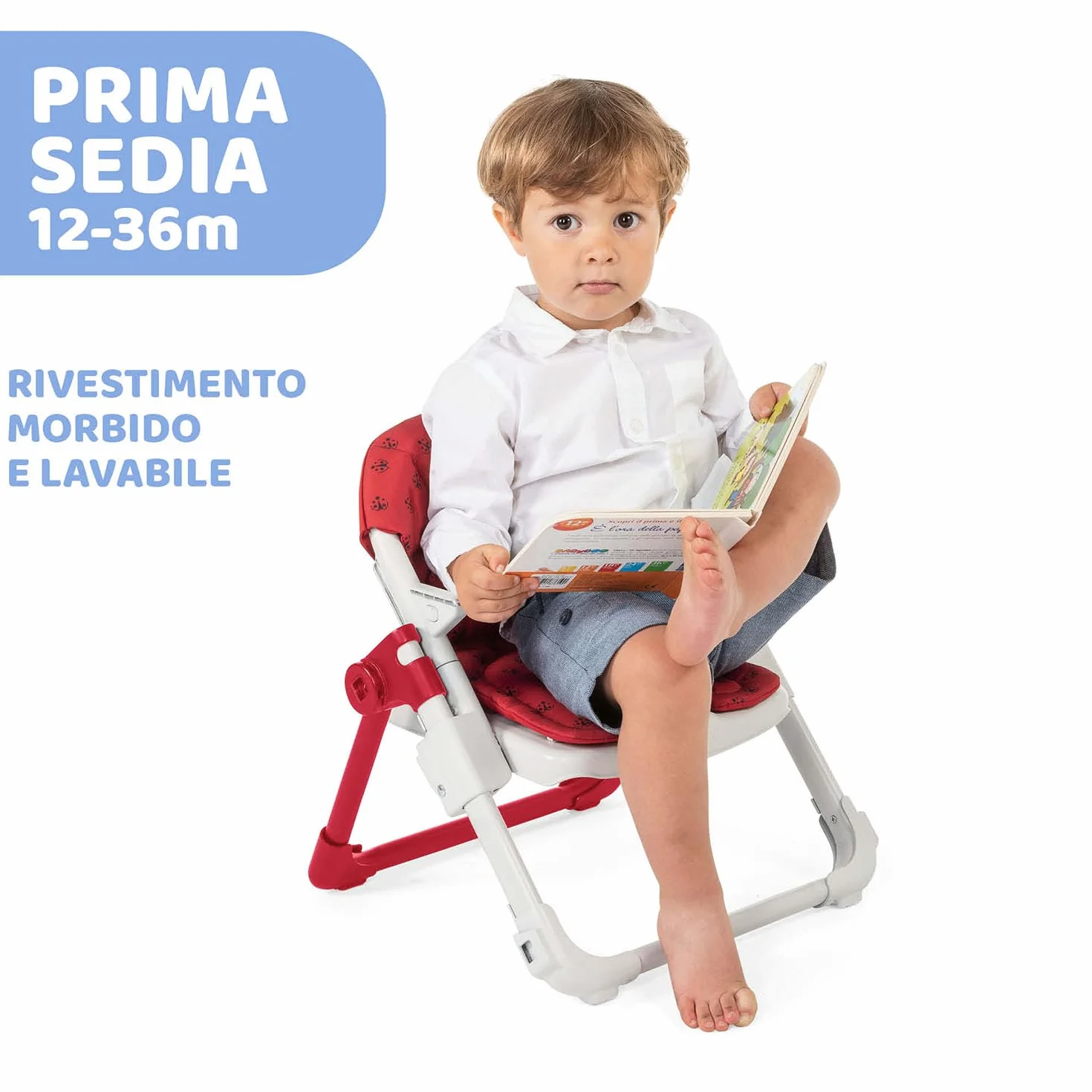 Chicco Chairy Booster Seat Lady Bug - 2.5 kg
