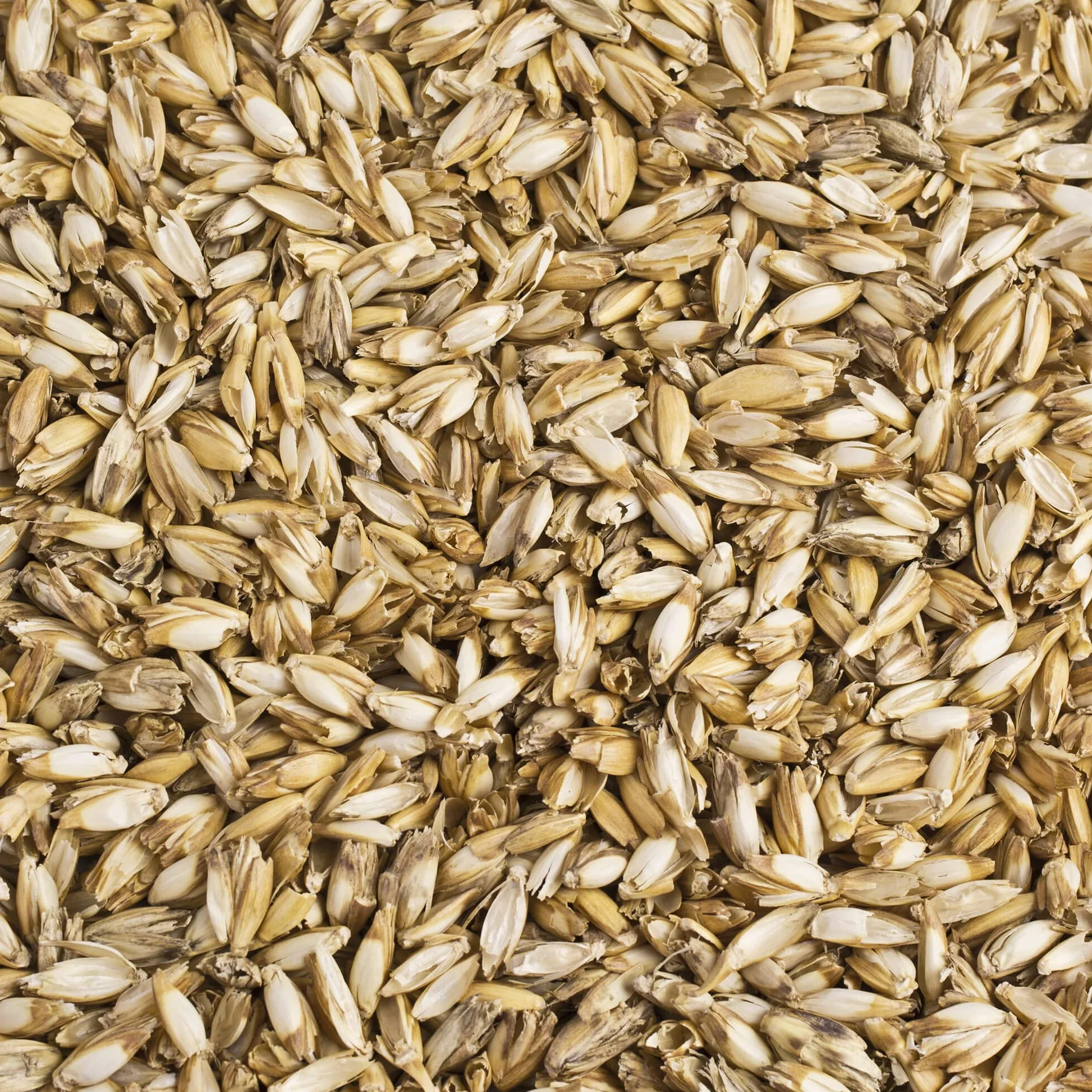 Theraline Cuscino per allattamento Gravidanza L'originale con imbottitura di farro, colore: beige 75 punti