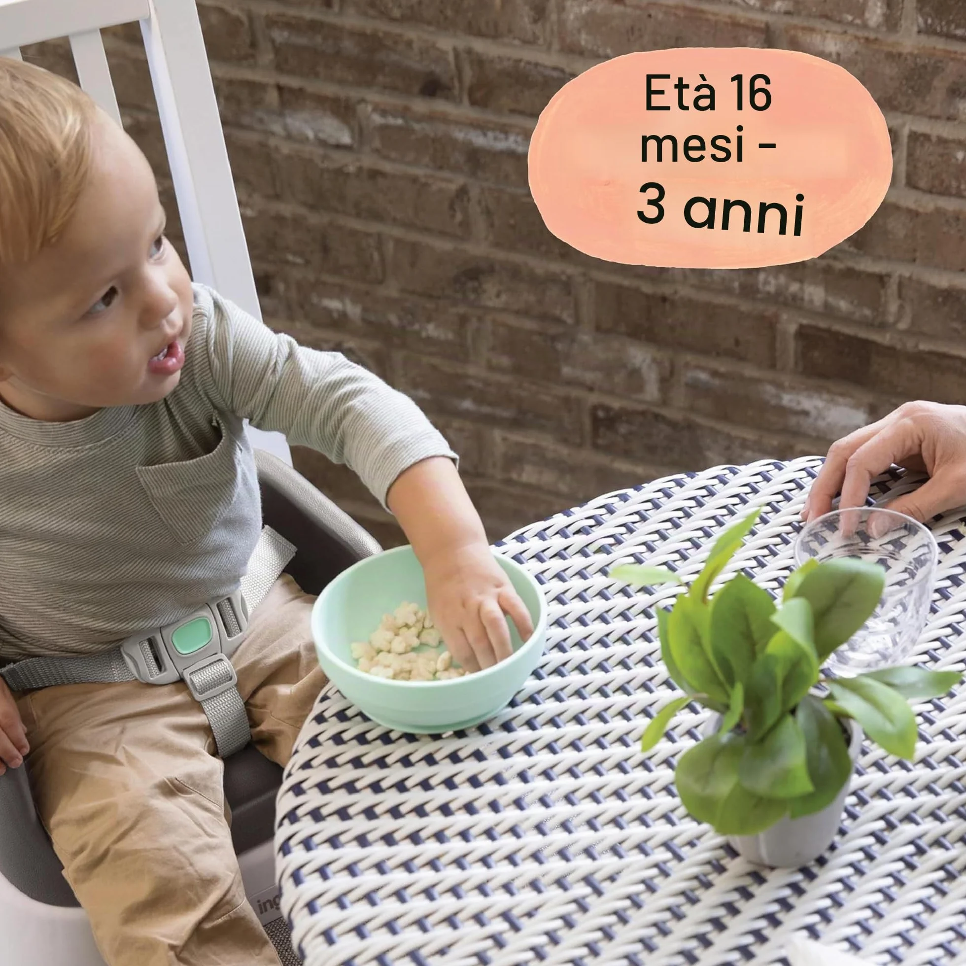 Ingenuity SmartClean Sedile di rialzo per bambini per tavolo da pranzo con cinghie di fissaggio a 3 punti, ardesia