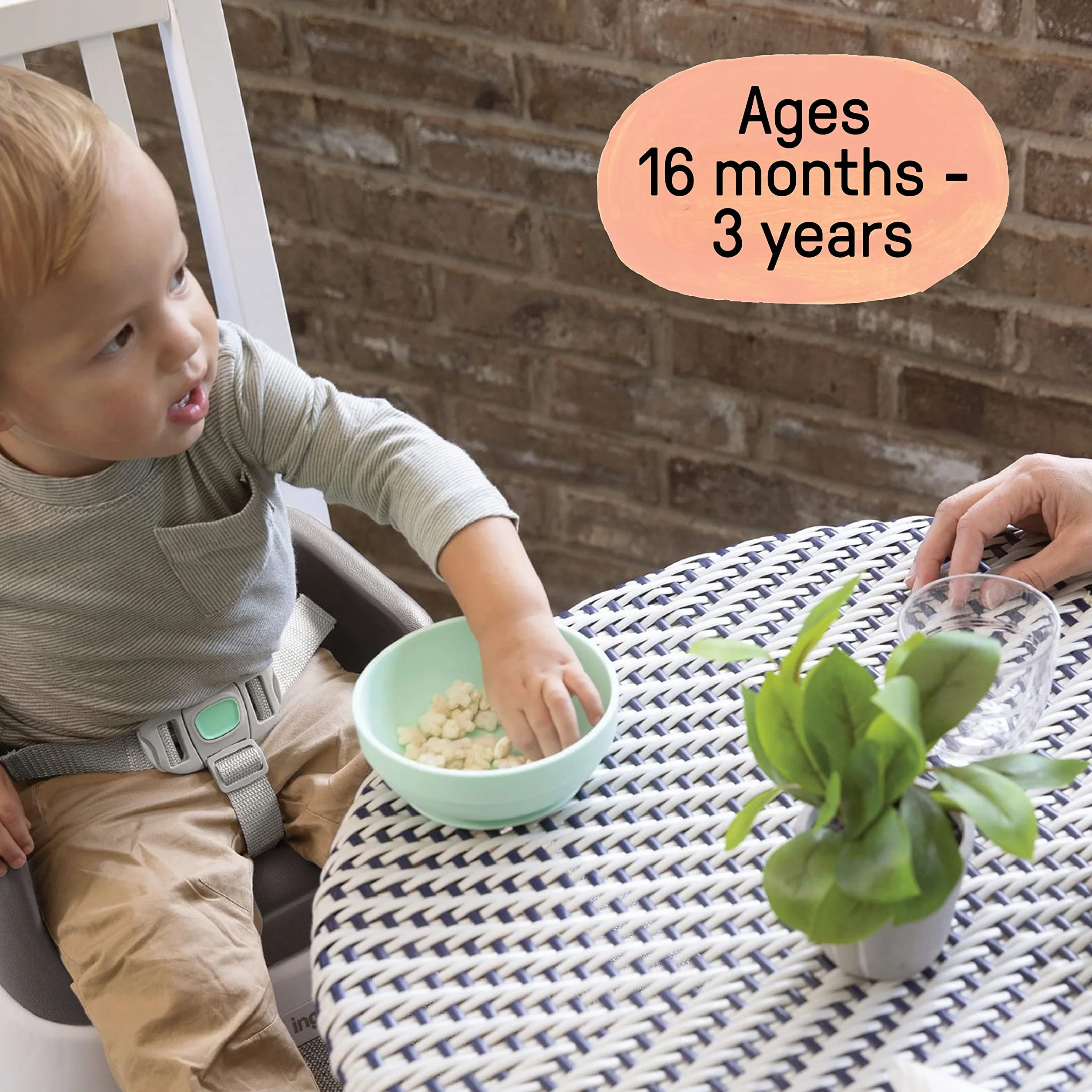 Ingenuity SmartClean Sedile di rialzo per bambini per tavolo da pranzo con cinghie di fissaggio a 3 punti, ardesia