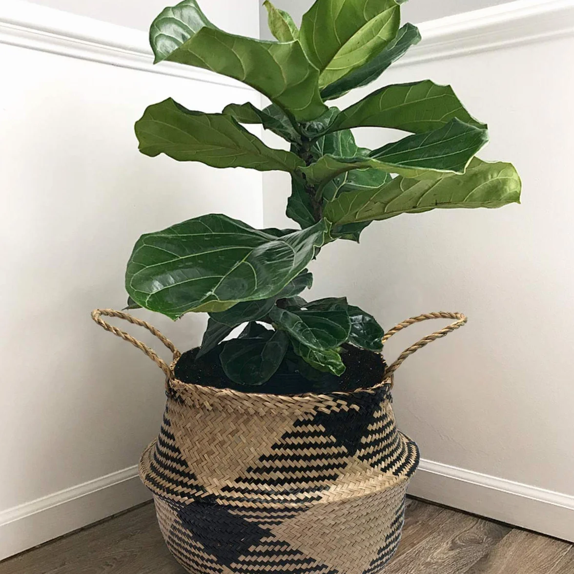 Cesto in erba marina, vaso per fiori, cesto in paglia, cesto per biancheria, pieghevole, grande cestino portaoggetti con manico per cameretta, bagno (D#38CM*34CM)