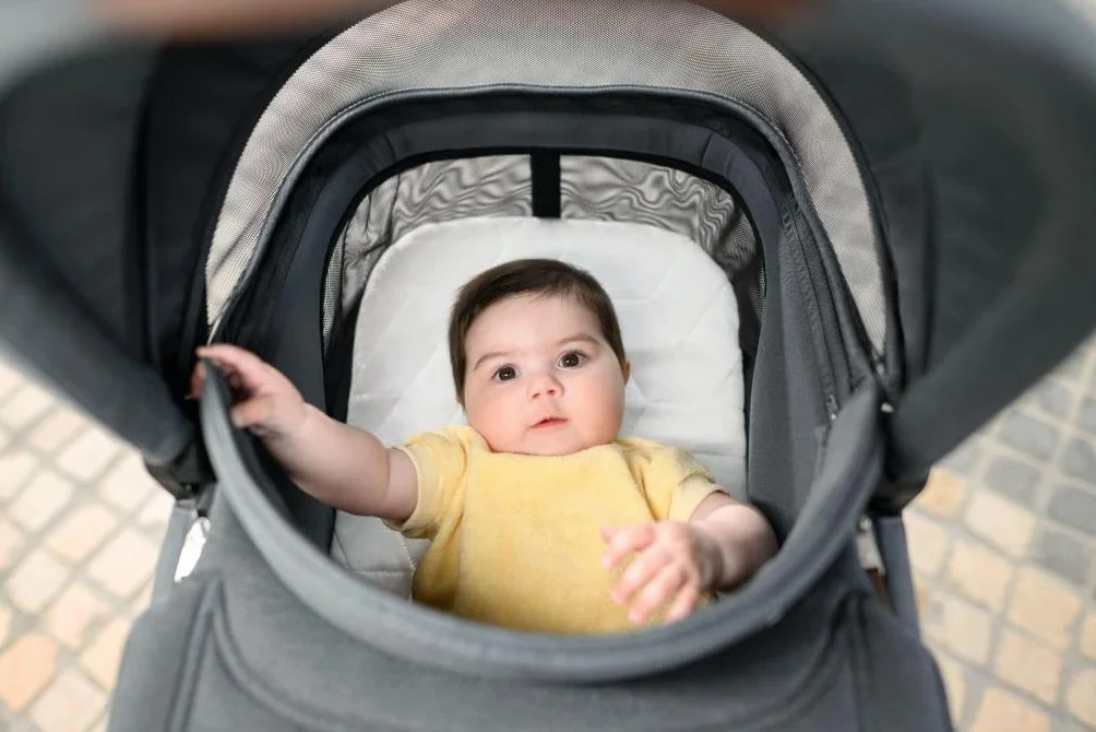 Maxi-Cosi Sense Navicella, spaziosa e confortevole, materasso memory foam traspirante, ClimaFlow, inclinazione SoothingSlope, sonno notturno, manico pelle vegana, Twillic Truffle