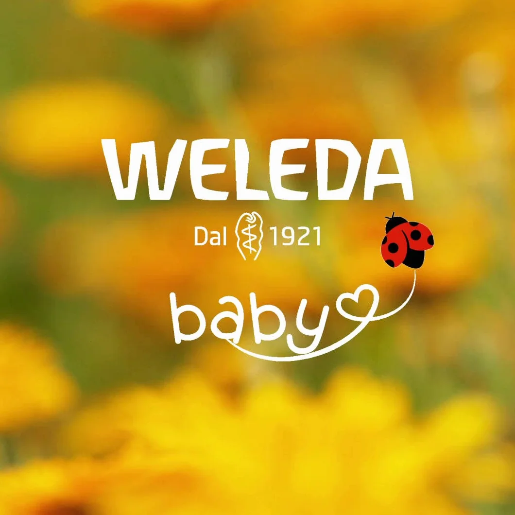 Weleda Arnica Echinacea polvere, talco in polvere per il trattamento dell'ombelico del neonato, assorbe l'umidità e protegge da irritazioni nelle pieghe cutanee (1X20g)