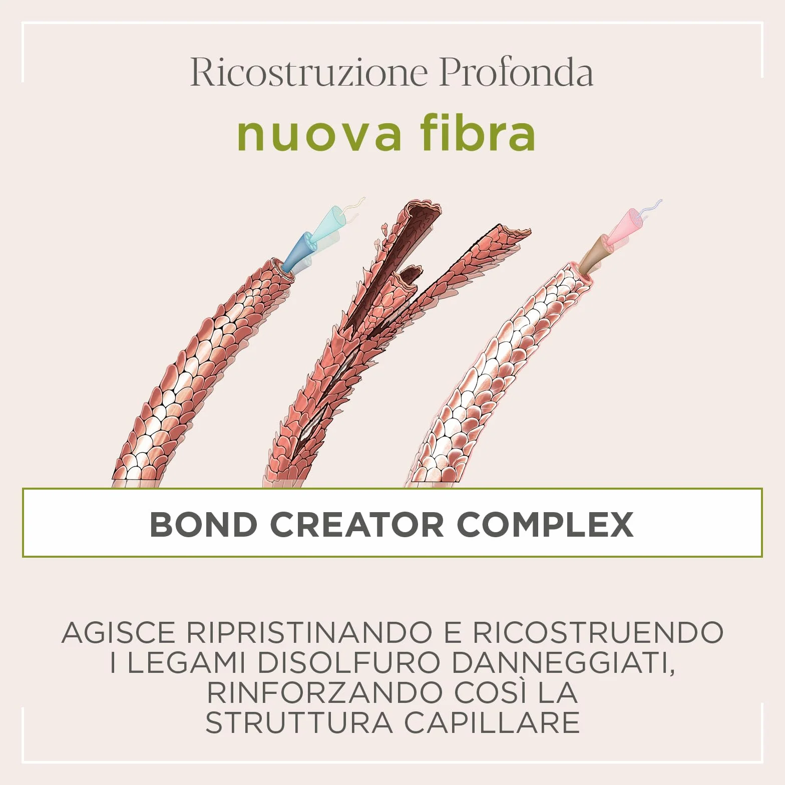Actyva - Nuova Fibra Shampoo, ad Azione Ristrutturante per Capelli Sfibrati o Danneggiati con Amaranto e Alga Rossa - 250 ml
