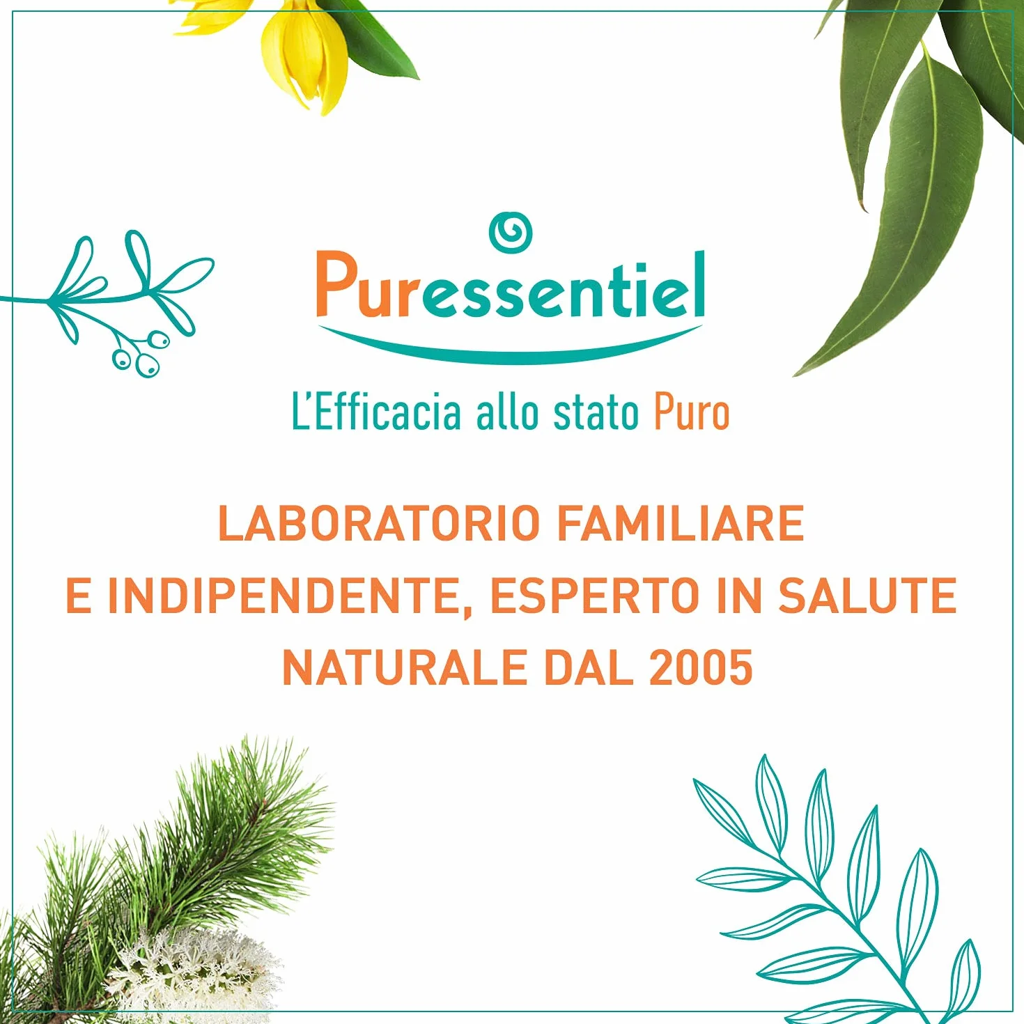Puressentiel - Spray nasale protettivo - Dispositivo medico - Protezione allergie: pollini, polvere, pelo di animale - Formula di origine naturale - Olio essenziale di eucalipto radiata - 20ml