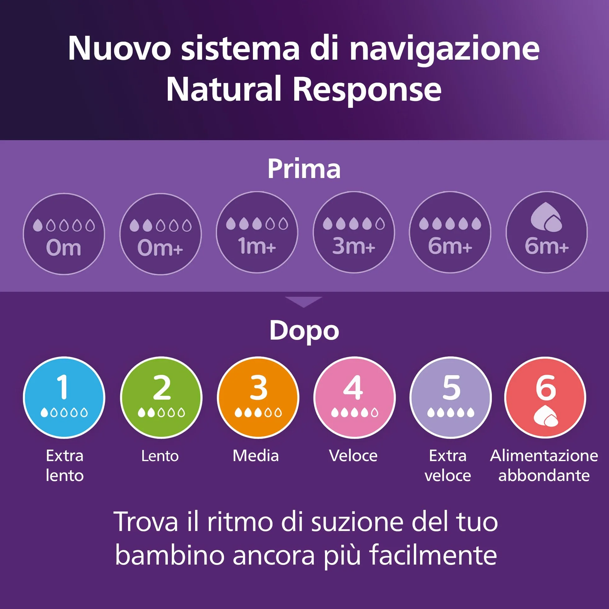 Philips Avent Set regalo con 1 ciuccio, 4 biberon e scovolino per pulizia