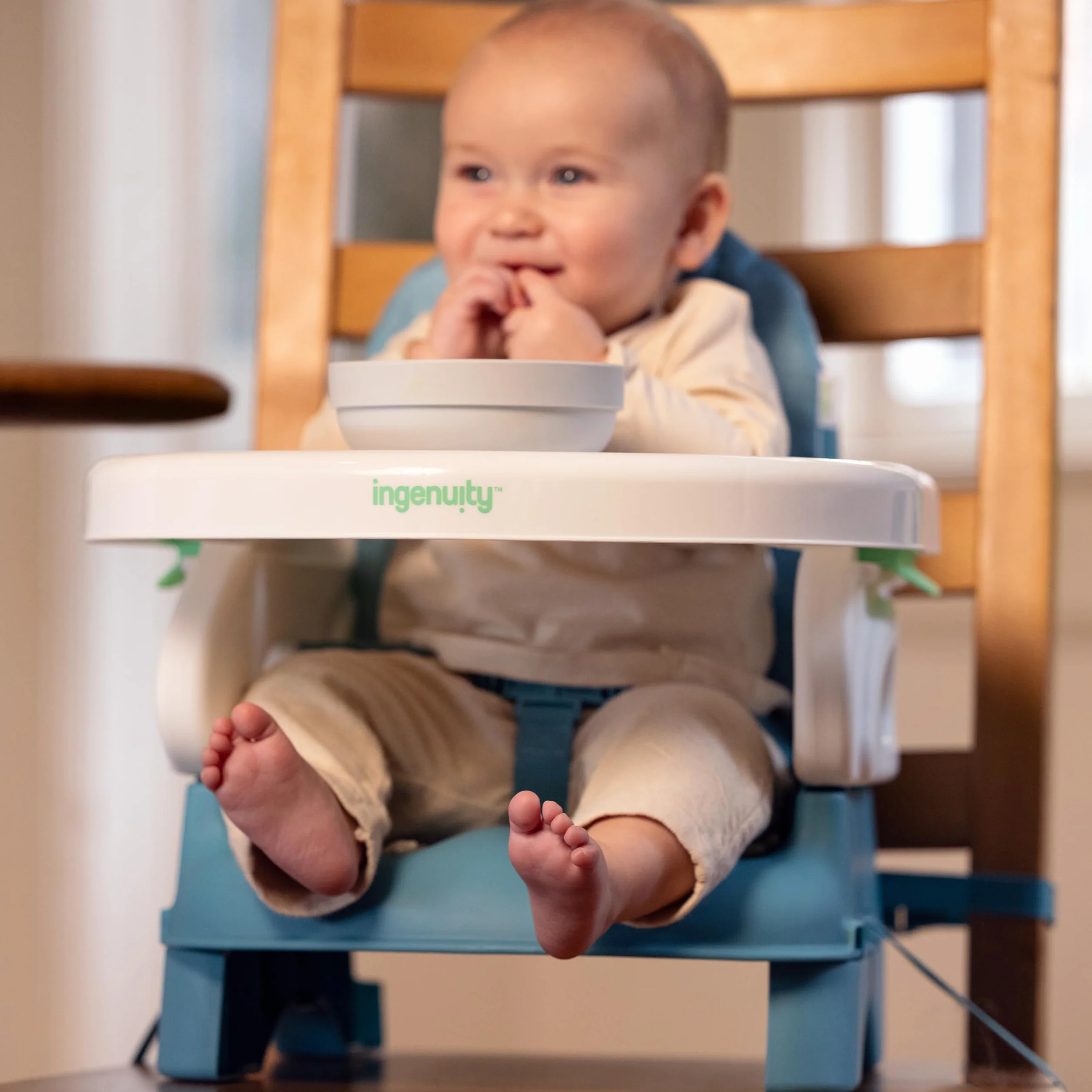 Ingenuity, Deluxe Comfort Seggiolino da Tavolo per Bambini Pieghevole, Altezza Regolabile, Imbottito, Leggero, Teal, 6M-3Y