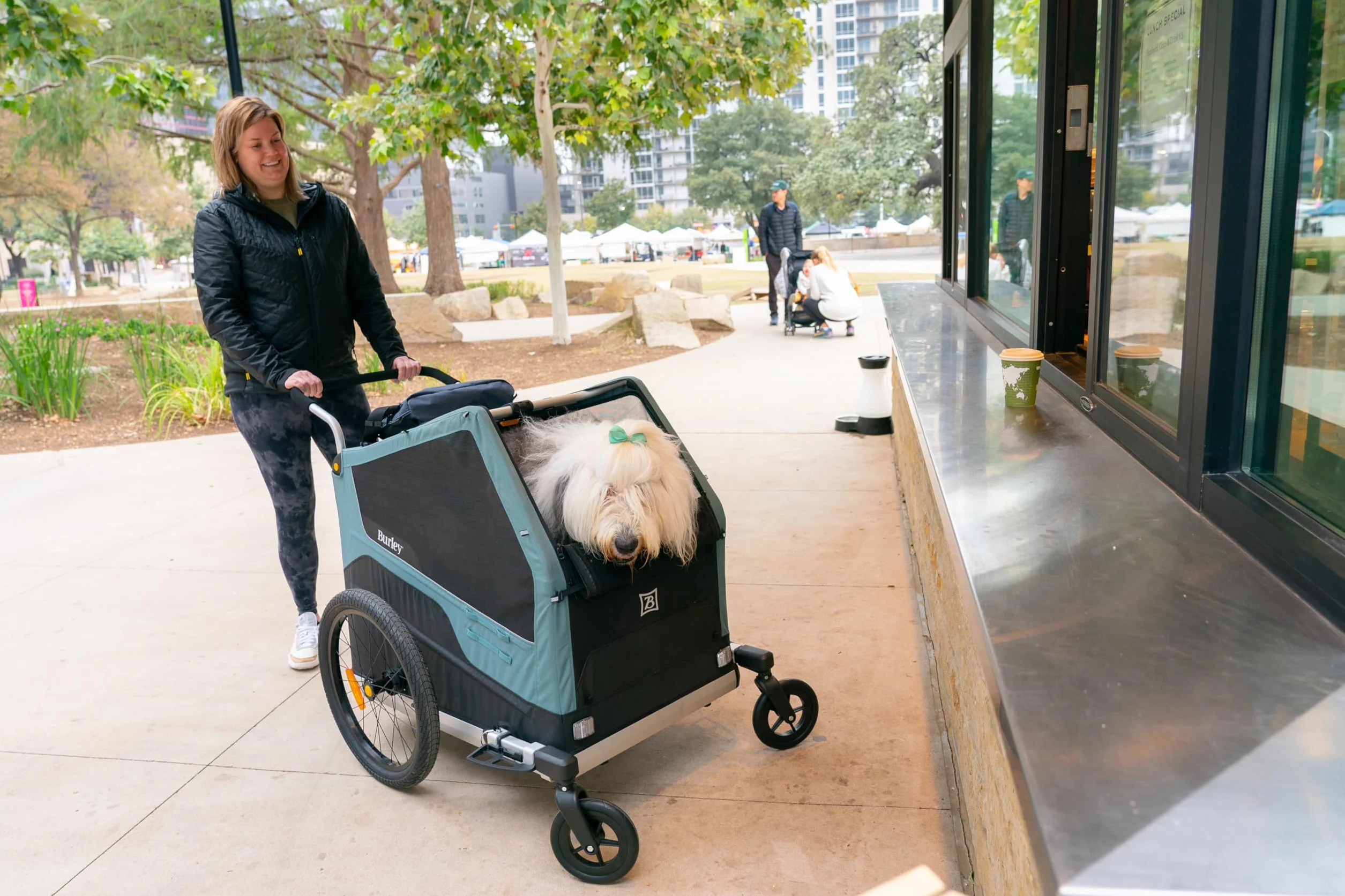 Burley Kit Passeggino Rimorchio