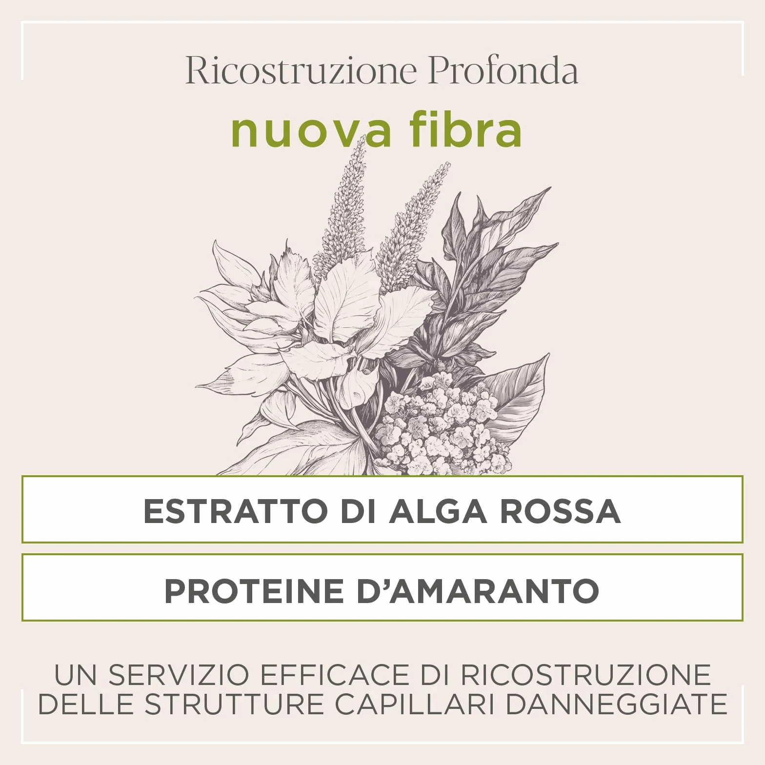 Actyva - Nuova Fibra Shampoo, ad Azione Ristrutturante per Capelli Sfibrati o Danneggiati con Amaranto e Alga Rossa - 250 ml
