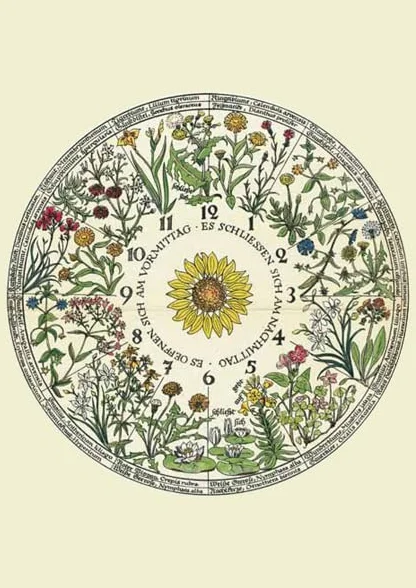 Kartenset Blumenuhr