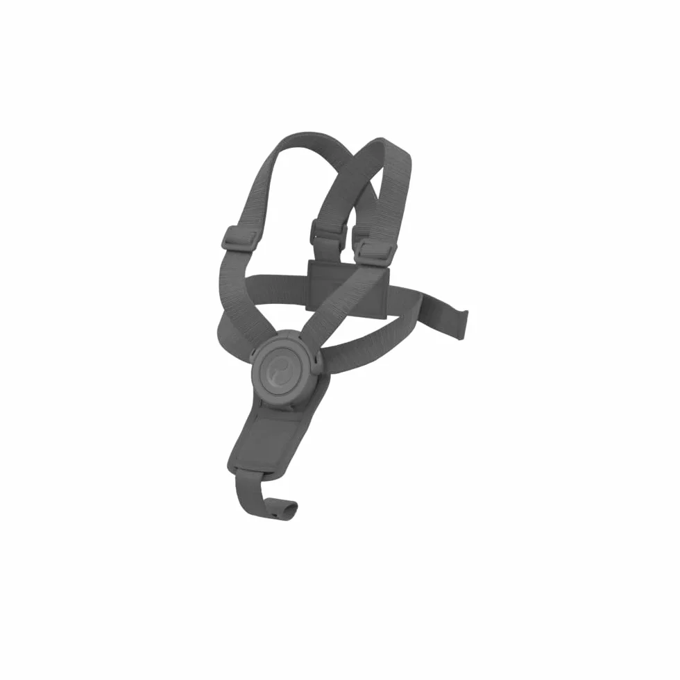 CYBEX Gold LEMO Imbracatura, Cinture di Sicurezza per Seggiolone/Sedile CYBEX LEMO, Sicurezza Extra per la Sedia LEMO, Light Grey (Grigio)