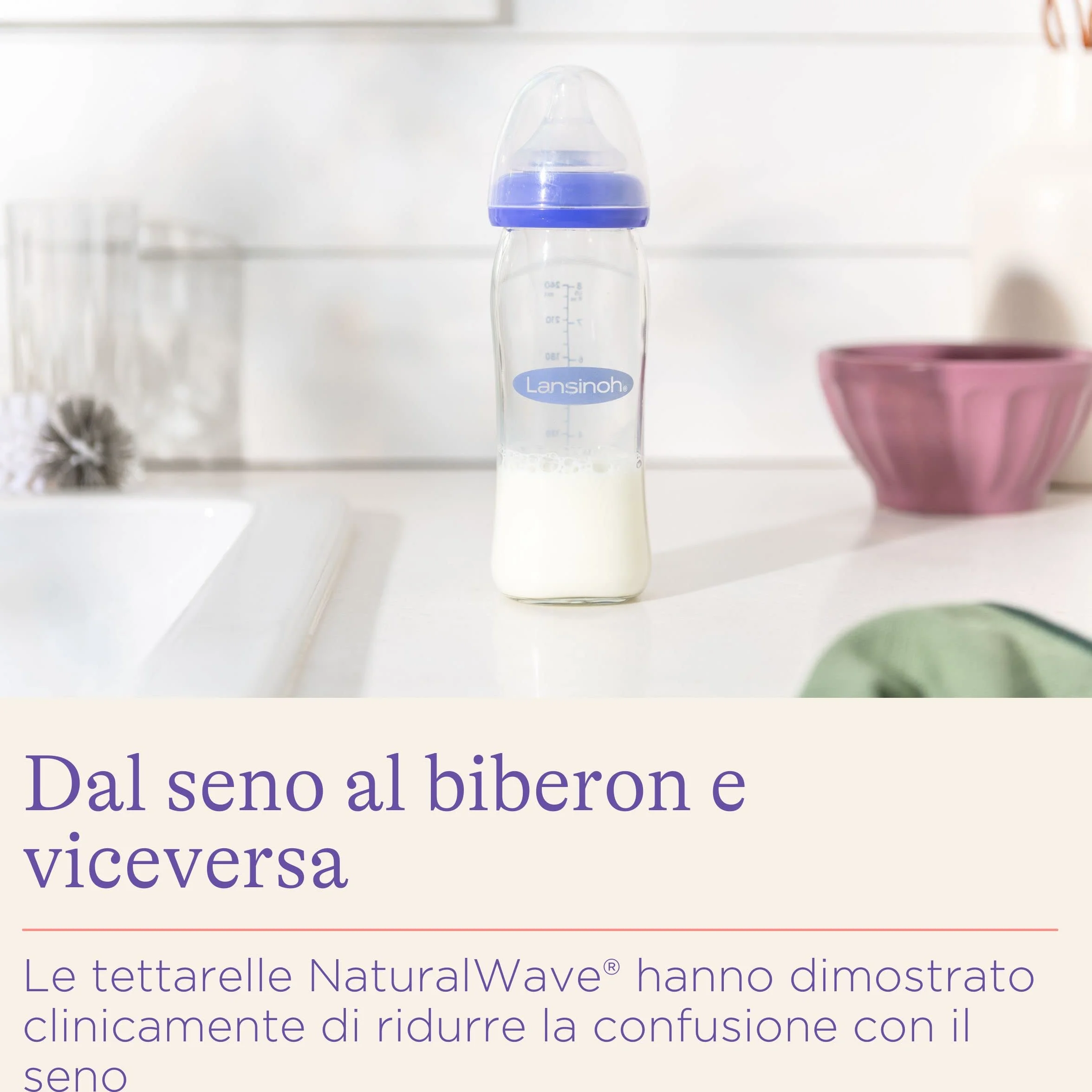 Lansinoh mOmma 77150 Biberon in Vetro con Tettarella, 240 ml